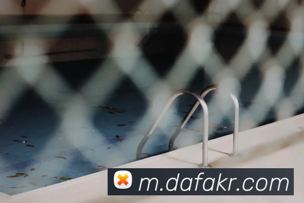 大发娱乐平台生态图